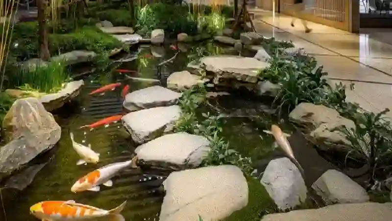 landscape design